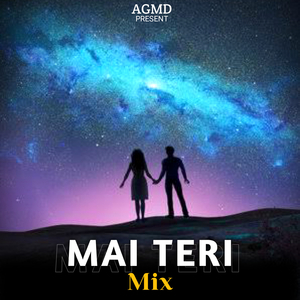 Mai Teri (Mix)