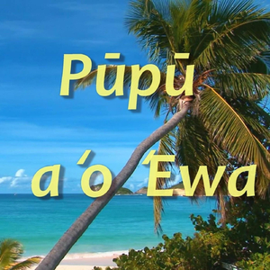 Pūpū aʻo ʻEwa