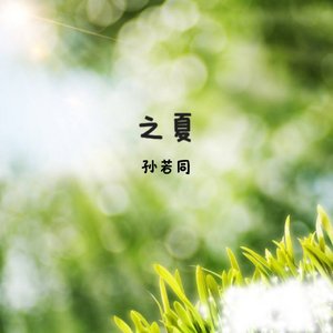 之夏（小傻子生日快乐！）