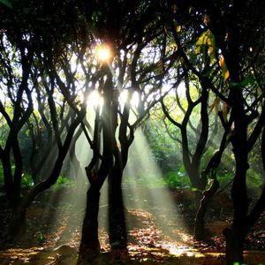 午后（Prod.by Cud）