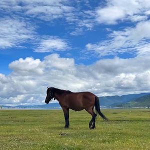 时光留不住青春岁月