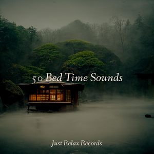 Silent Soliloquy of Sorrow