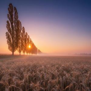 Настане ранок -посміхнись