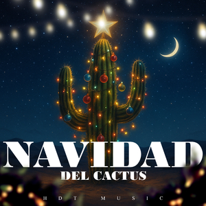 Estrella de Navidad