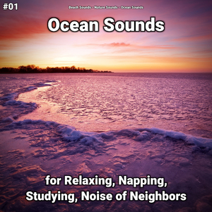 Ocean Sounds Pt. 48