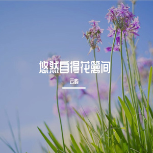 悠然自得花篱间