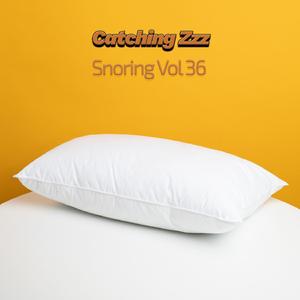 Snoring XX (Vol XXXVI)