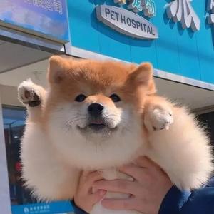 迈出这一步下一步