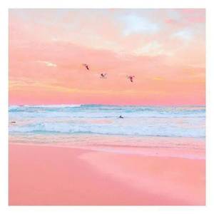 [Free]"盛夏海滩"