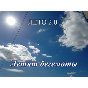 Летят бегемоты