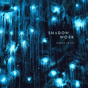 Shadow Work