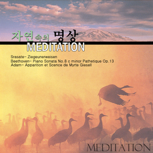 Piano Sonata No.8 c minor Pathetique Op.13 2nd