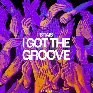 I Got the Groove