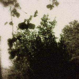 Oh, alice when you're gone.