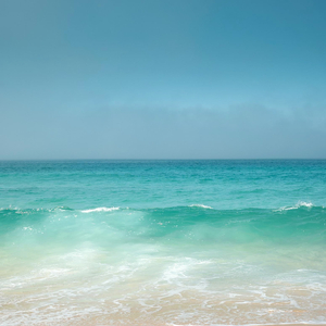 提高记忆力 (阿尔法脑波音乐)