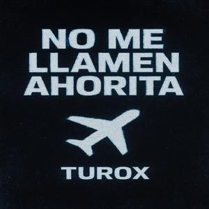 NO ME LLAMEN AHORITA