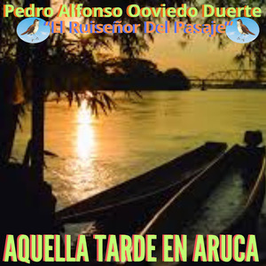 Aquella Tarde En Arauca