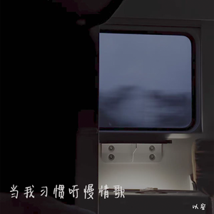 当我习惯听慢情歌