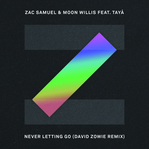 Never Letting Go (David Zowie Remix)