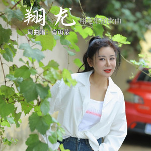 翔龙 (默涵DJ版)