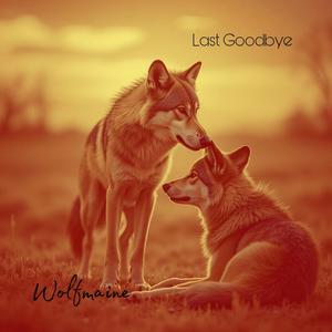 Last Goodbye