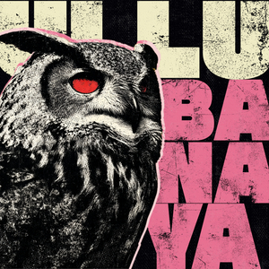Ullu Banaya
