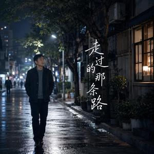 走过的那条路