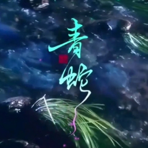 流光飞舞