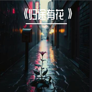 《归途有花》