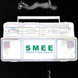 Audio, Lemmons, Dr. Phill, and Panther Gathered Together in a Cave And Grooving With a Stick