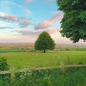 故事刚讲到一半