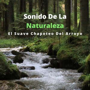 Corriente Salpicando