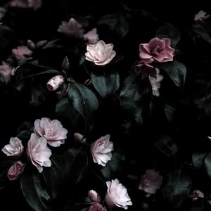 CaT fOoD (Instrumental)