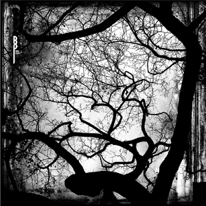 Litra (Original Mix)