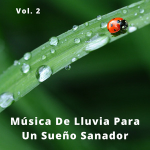 Lluvia Sanadora