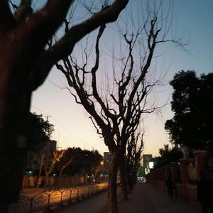 you are my little star 冬日残阳-(prod.by wavytrbl)