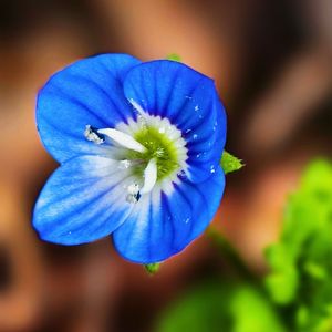 生命的律动（纯音乐）