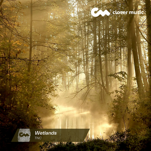 Wetlands (Instrumental)