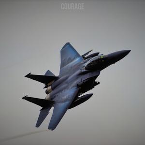 Courage