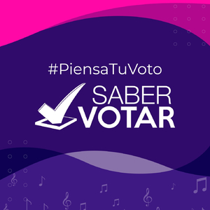 Piensa Tu Voto