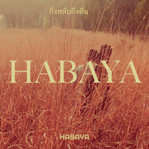 กึ่งหลับกึ่งตื่น