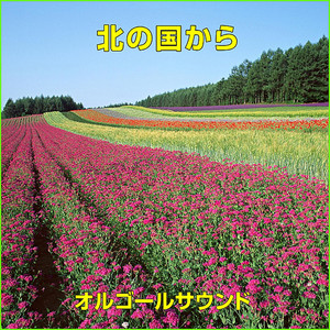 北の国から ～ダイヤモンド・ダスト～ （オルゴール）