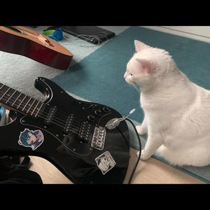 Catal (Cat and Metal)