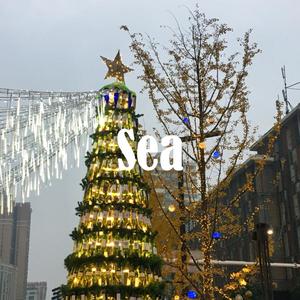 十二月想说的话（Prod.By xiangyue）