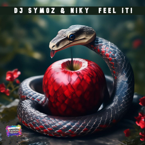 Feel It ! (Radio Mix)