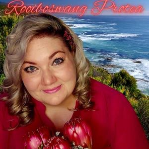 Rooiboswang Protea