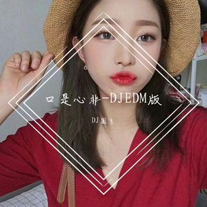 口是心非-DJEDM版