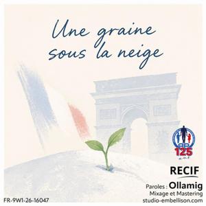 Une graine sous la neige