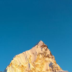 荷盏承托的琼露