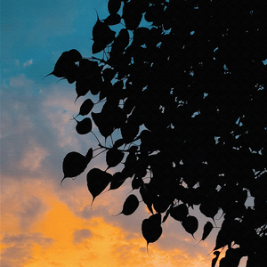 祝你一路顺风 (舒缓放松纯音乐)